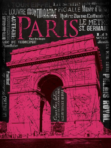 Paris Type 2 Black Ornate Wood Framed Art Print with Double Matting by Grey, Jace