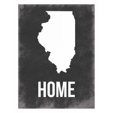 ILLinois Home Black Modern Wood Framed Art Print with Double Matting by Grey, Jace