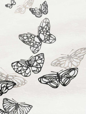 Butterflies Mate White Modern Wood Framed Art Print with Double Matting by Grey, Jace