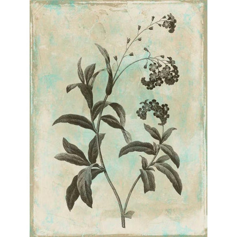 Earthy floral 1 Black Modern Wood Framed Art Print with Double Matting by Grey, Jace