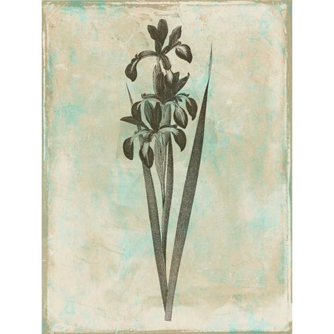 Earthy Floral Blend Black Modern Wood Framed Art Print with Double Matting by Grey, Jace