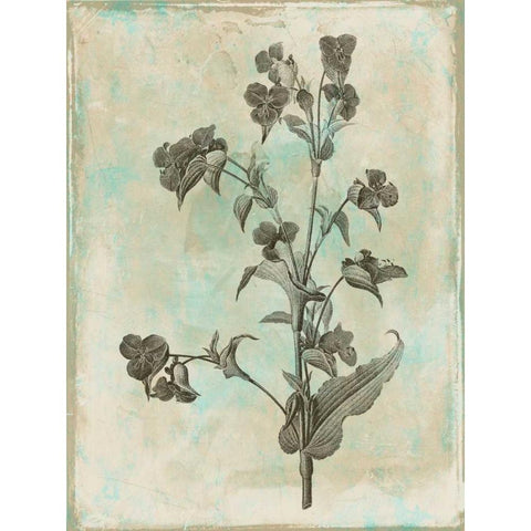 Earthy floral Mix Black Modern Wood Framed Art Print with Double Matting by Grey, Jace