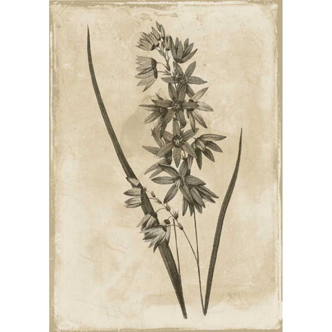 Floral Earthtone White Modern Wood Framed Art Print by Grey, Jace