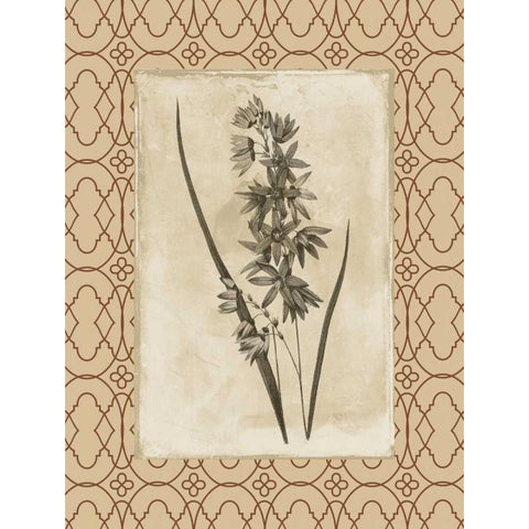 Floral bordered Gold Ornate Wood Framed Art Print with Double Matting by Grey, Jace