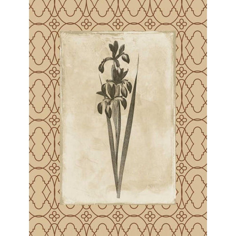 Floral bordered 2 Black Modern Wood Framed Art Print with Double Matting by Grey, Jace