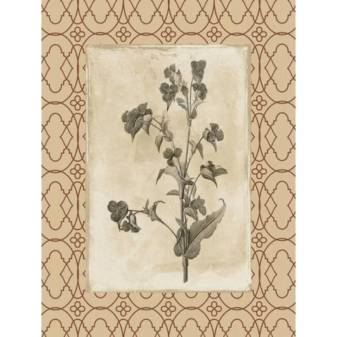 Floral bordered 3 Black Modern Wood Framed Art Print with Double Matting by Grey, Jace