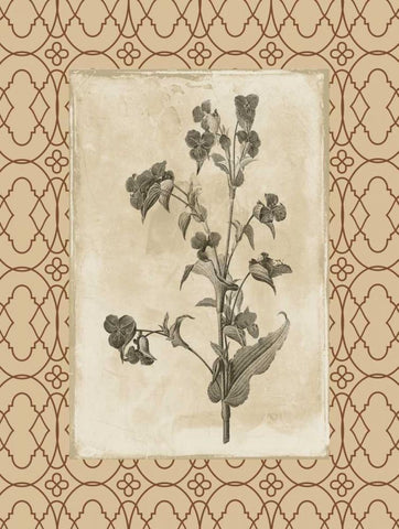 Floral bordered 3 Black Ornate Wood Framed Art Print with Double Matting by Grey, Jace