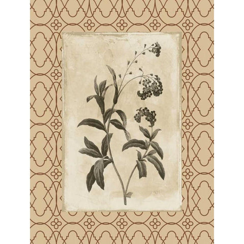 Floral bordered 4 Black Modern Wood Framed Art Print with Double Matting by Grey, Jace