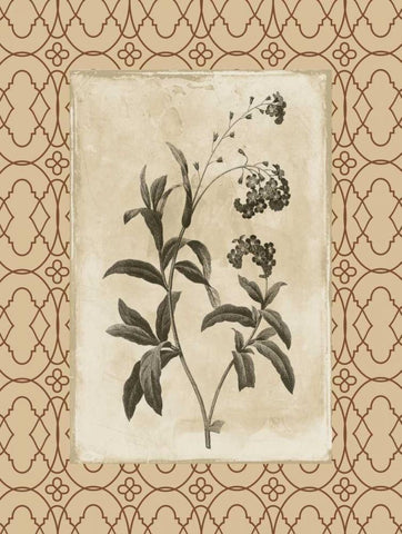 Floral bordered 4 Black Ornate Wood Framed Art Print with Double Matting by Grey, Jace