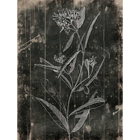 Wood Floral Black Modern Wood Framed Art Print with Double Matting by Grey, Jace