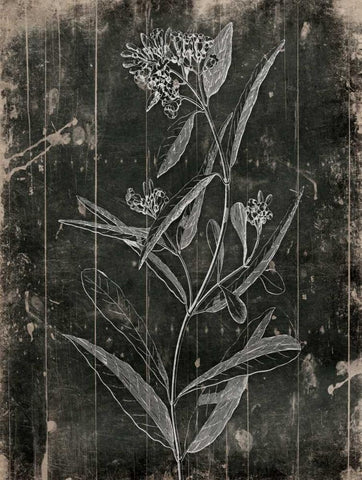 Wood Floral Black Ornate Wood Framed Art Print with Double Matting by Grey, Jace