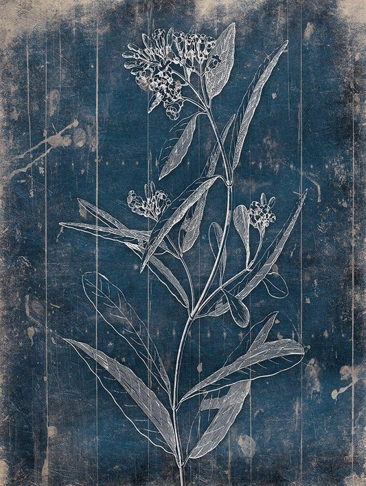 Image Only