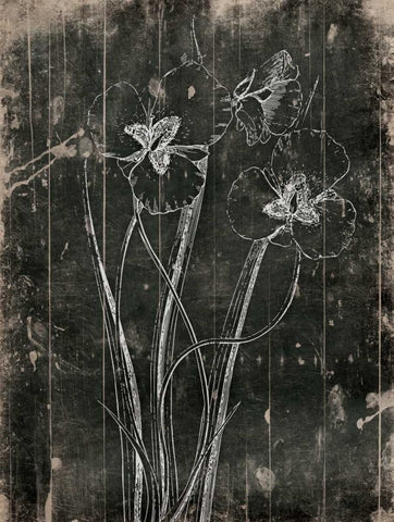 Black Wood Black Ornate Wood Framed Art Print with Double Matting by Grey, Jace