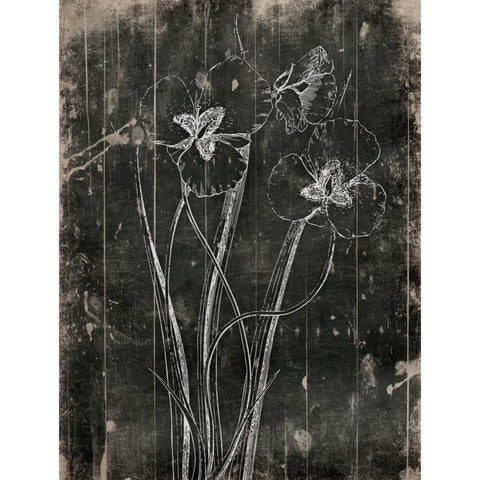 Black Wood Black Modern Wood Framed Art Print by Grey, Jace