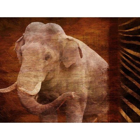 Elephant Instinct Black Modern Wood Framed Art Print with Double Matting by Grey, Jace