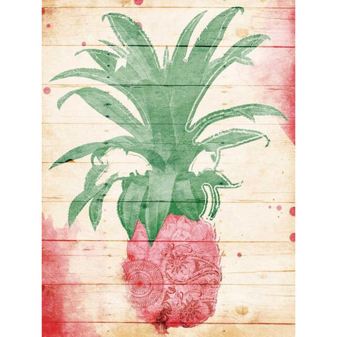 Pink Pineapple Henna Black Modern Wood Framed Art Print with Double Matting by Grey, Jace