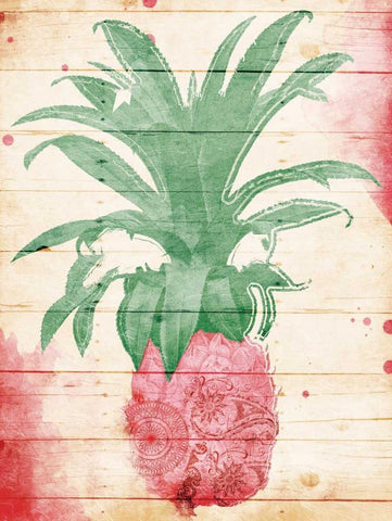 Pink Pineapple Henna White Modern Wood Framed Art Print with Double Matting by Grey, Jace