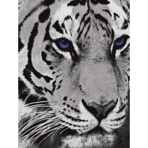 Purple Eyes White Modern Wood Framed Art Print by Grey, Jace