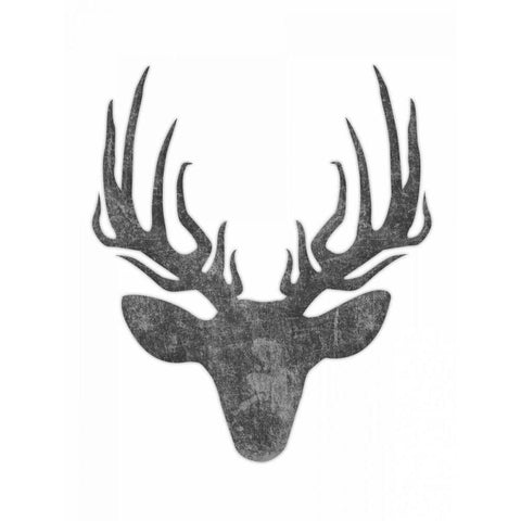 Black And White Aged Deer Mate White Modern Wood Framed Art Print by Grey, Jace