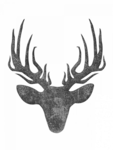 Black And White Aged Deer Mate White Modern Wood Framed Art Print with Double Matting by Grey, Jace