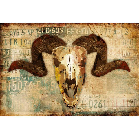 Vintage Skull Black Modern Wood Framed Art Print with Double Matting by Grey, Jace