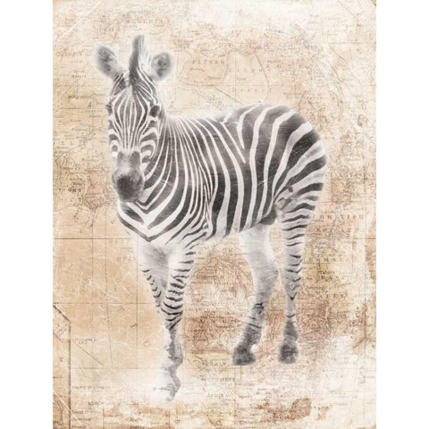 African Zebra Gold Ornate Wood Framed Art Print with Double Matting by Grey, Jace