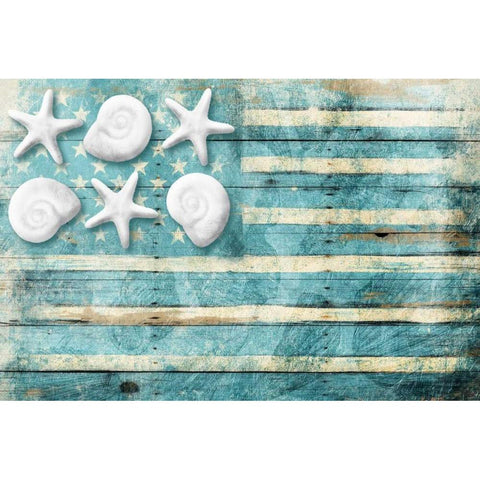 Coastal American Flag Gold Ornate Wood Framed Art Print with Double Matting by Grey, Jace