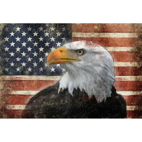 Eagle and Flag White Modern Wood Framed Art Print by Grey, Jace