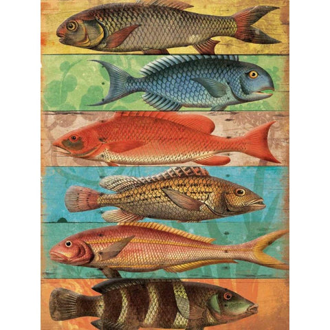 Fish Wall Black Modern Wood Framed Art Print with Double Matting by Grey, Jace