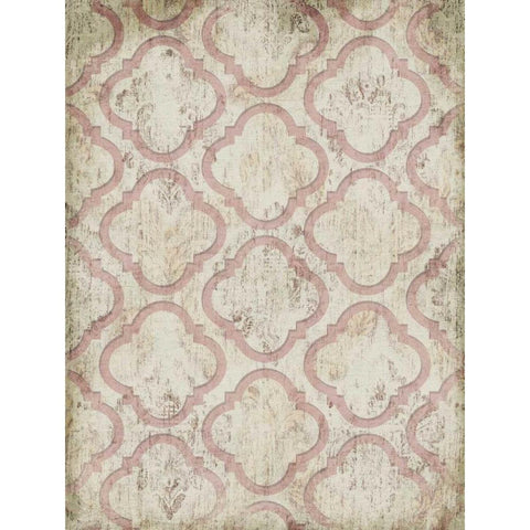 Antique Rose Wall Black Modern Wood Framed Art Print with Double Matting by Grey, Jace