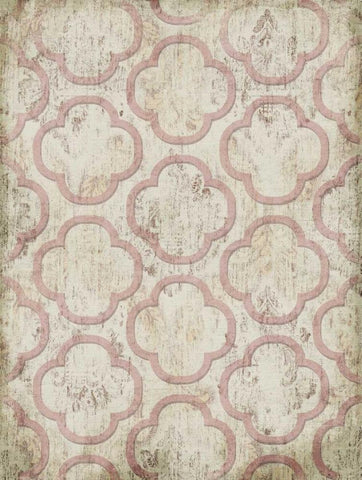 Antique Rose Wall Mate White Modern Wood Framed Art Print with Double Matting by Grey, Jace