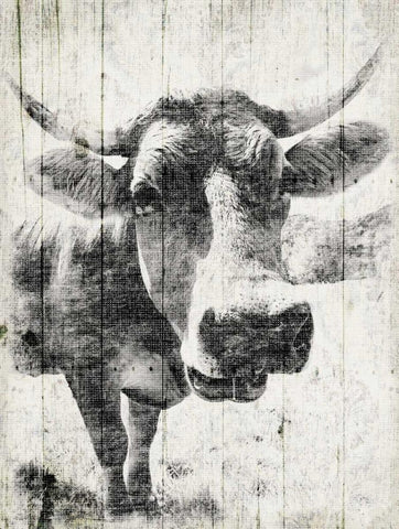 Vintage Cow Mate White Modern Wood Framed Art Print with Double Matting by Grey, Jace