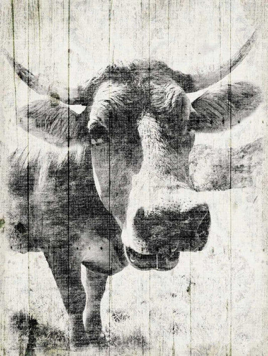 Image Only