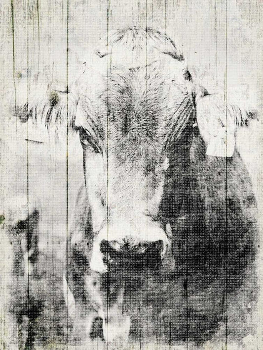 Image Only