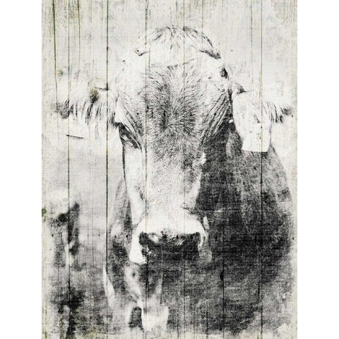 Vintage Cow Black Modern Wood Framed Art Print by Grey, Jace
