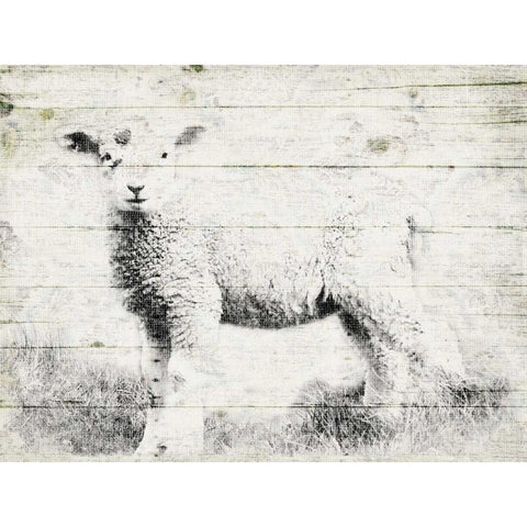 Vintage Lamb Black Modern Wood Framed Art Print by Grey, Jace