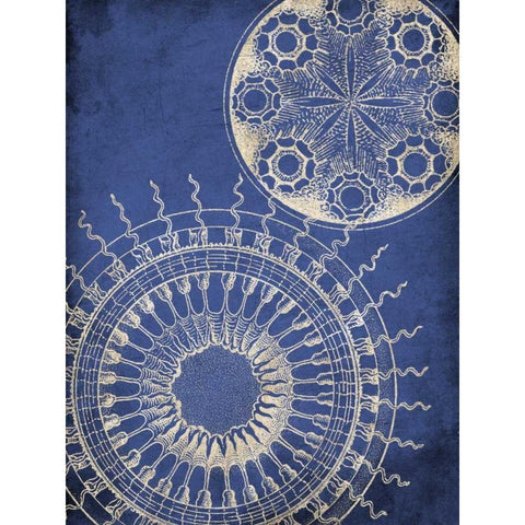 Coastal Indigo Pattern Gold Ornate Wood Framed Art Print with Double Matting by Grey, Jace