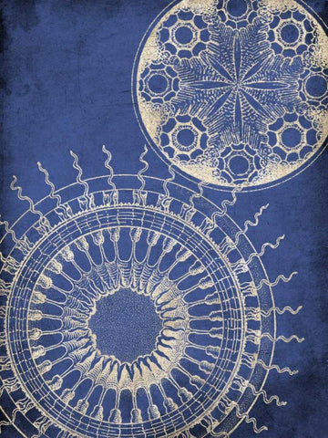 Coastal Indigo Pattern White Modern Wood Framed Art Print with Double Matting by Grey, Jace