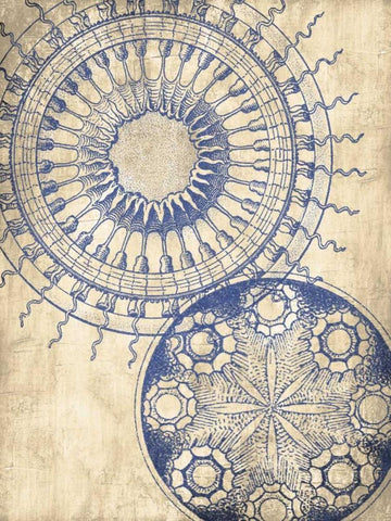 Coastal Indigo Pattern Mate Black Ornate Wood Framed Art Print with Double Matting by Grey, Jace