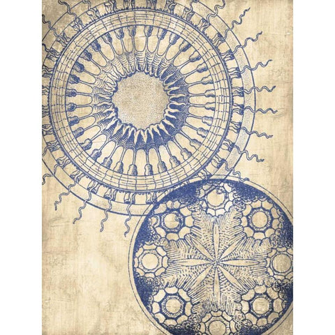 Coastal Indigo Pattern Mate Black Modern Wood Framed Art Print by Grey, Jace