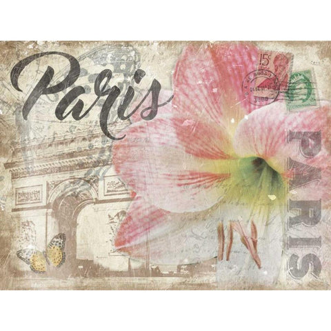 Mail To Paris Gold Ornate Wood Framed Art Print with Double Matting by Grey, Jace