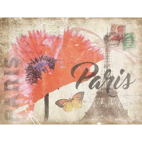 Mail To Paris Mate Black Modern Wood Framed Art Print with Double Matting by Grey, Jace