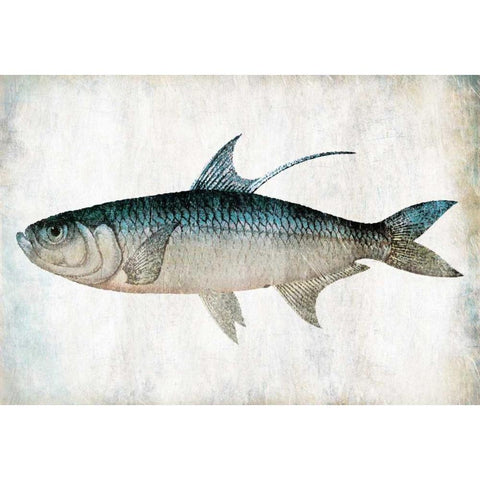 Blue Fish Gold Ornate Wood Framed Art Print with Double Matting by Grey, Jace