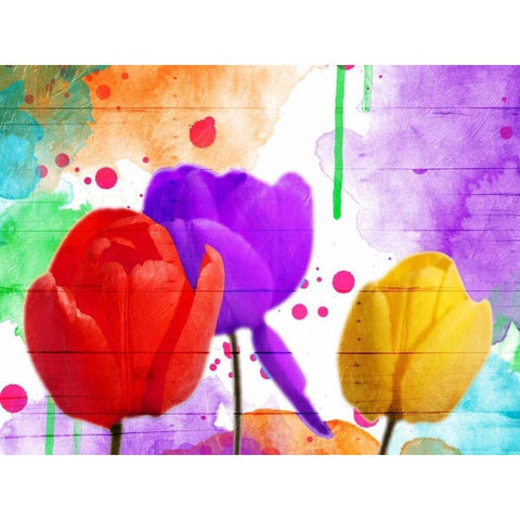 Fun Tulips Black Modern Wood Framed Art Print with Double Matting by Grey, Jace