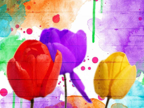 Fun Tulips White Modern Wood Framed Art Print with Double Matting by Grey, Jace