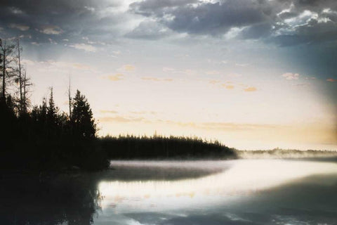 Foggy Forest White Modern Wood Framed Art Print with Double Matting by Grey, Jace