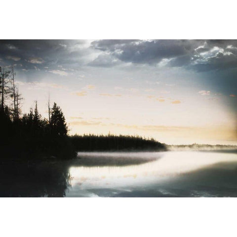 Foggy Forest Black Modern Wood Framed Art Print by Grey, Jace