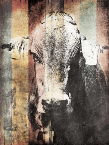 Miultiwood Vintage Cow White Modern Wood Framed Art Print with Double Matting by Grey, Jace