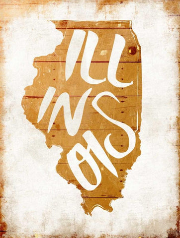 Wood Illinois White Modern Wood Framed Art Print with Double Matting by Grey, Jace