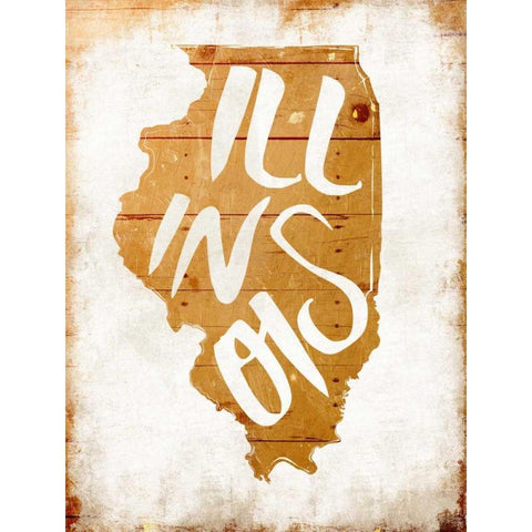 Wood Illinois Black Modern Wood Framed Art Print with Double Matting by Grey, Jace